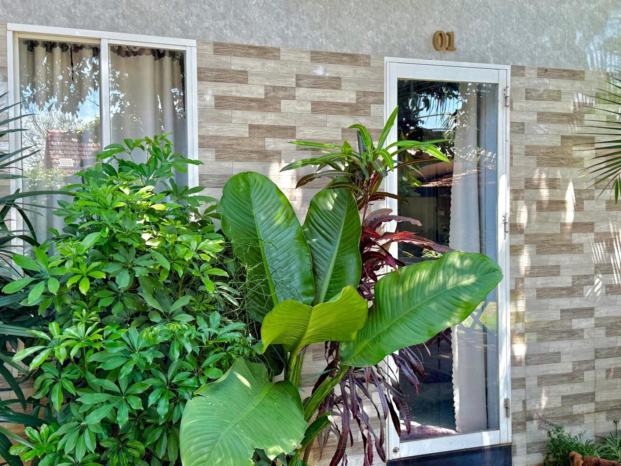 Ho Coc Homestay Екстериор снимка